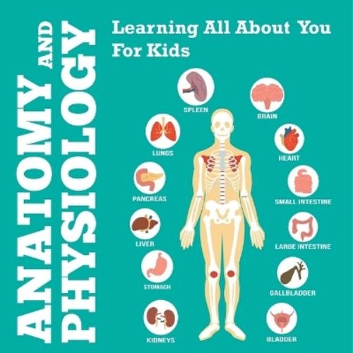 Speedy publishing llc - llc, anatomy